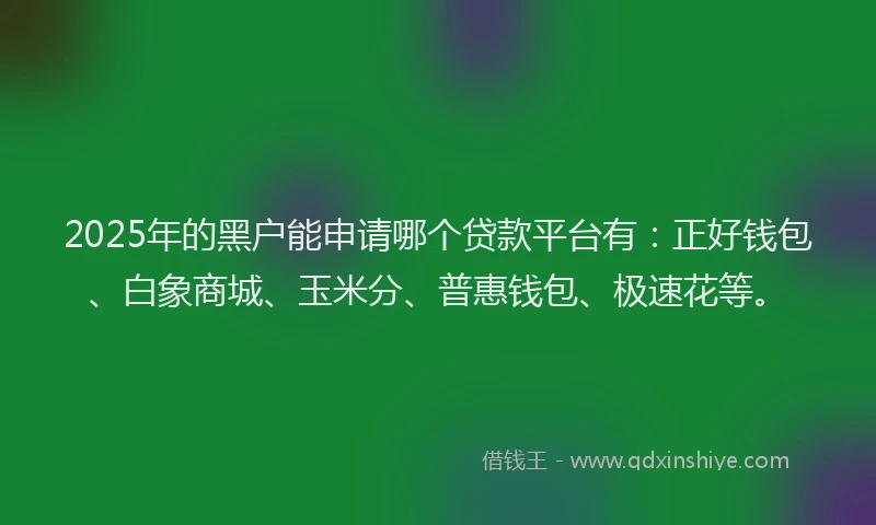 2025年的黑户能申请哪个贷款平台有：正好钱包、白象商城、玉米分、普惠钱包、极速花等。