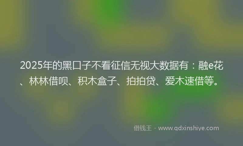 2025年的黑口子不看征信无视大数据有：融e花、林林借呗、积木盒子、拍拍贷、爱木速借等。