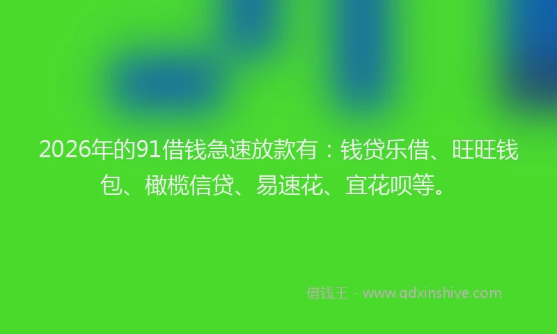 2026年的91借钱急速放款有：钱贷乐借、旺旺钱包、橄榄信贷、易速花、宜花呗等。