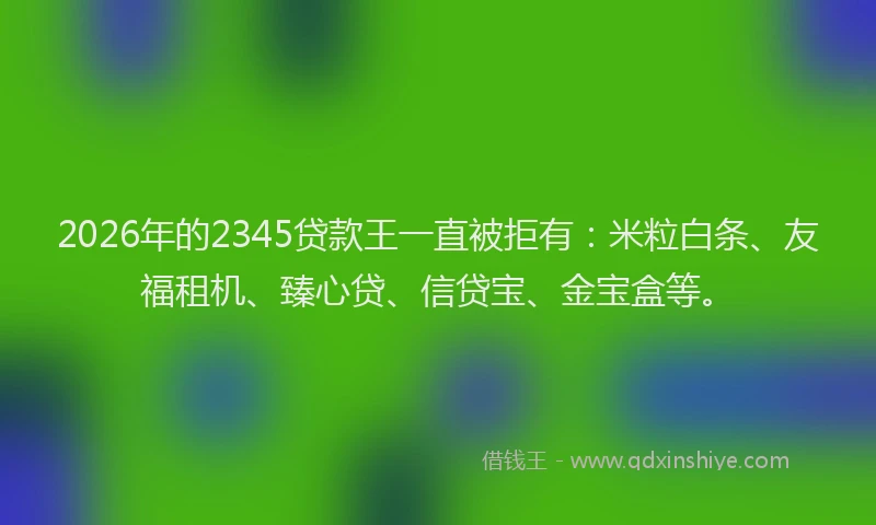 2026年的2345贷款王一直被拒有：米粒白条、友福租机、臻心贷、信贷宝、金宝盒等。