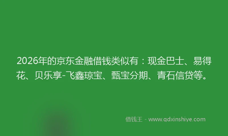 2026年的京东金融借钱类似有:现金巴士、易得花、贝乐享-飞鑫琼宝、甄宝分期、青石信贷等。