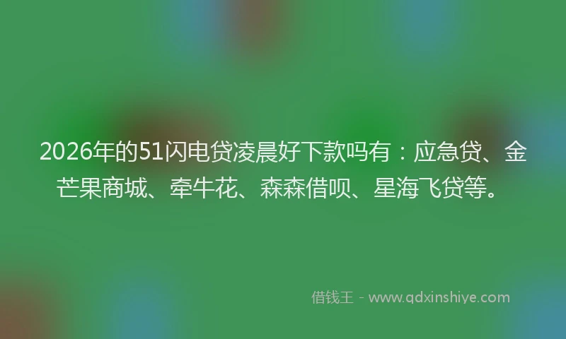 2026年的51闪电贷凌晨好下款吗有:应急贷、金芒果商城、牵牛花、森森借呗、星海飞贷等。