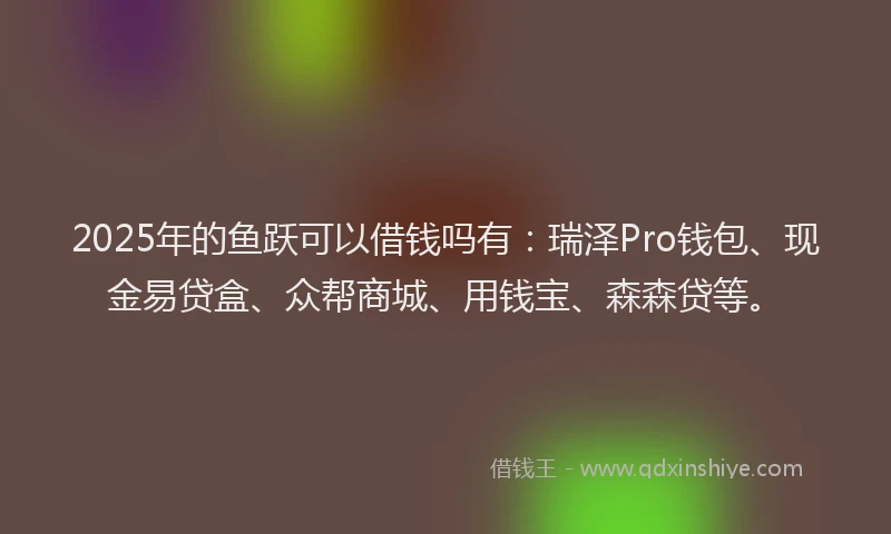 2025年的鱼跃可以借钱吗有:瑞泽Pro钱包、现金易贷盒、众帮商城、用钱宝、森森贷等。