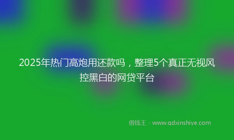 2025年热门高炮用还款吗，整理5个真正无视风控黑白的网贷平台