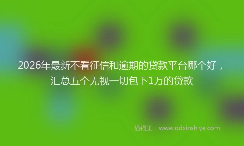 2026年最新不看征信和逾期的贷款平台哪个好，汇总五个无视一切包下1万的贷款