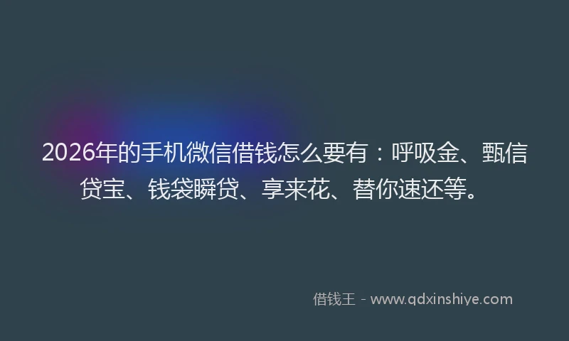 2026年的手机微信借钱怎么要有：呼吸金、甄信贷宝、钱袋瞬贷、享来花、替你速还等。