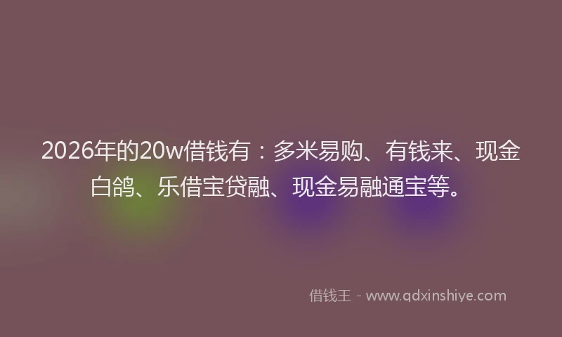 2026年的20w借钱有:多米易购、有钱来、现金白鸽、乐借宝贷融、现金易融通宝等。