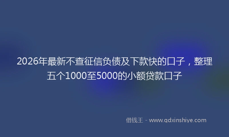2026年最新不查征信负债及下款快的口子，整理五个1000至5000的小额贷款口子