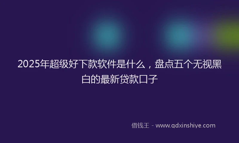 2025年超级好下款软件是什么,盘点五个无视黑白的最新贷款口子
