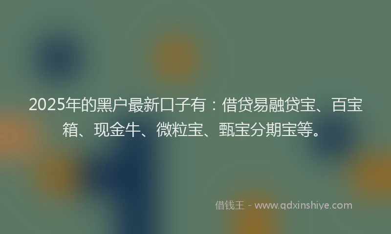 2025年的黑户最新口子有：借贷易融贷宝、百宝箱、现金牛、微粒宝、甄宝分期宝等。