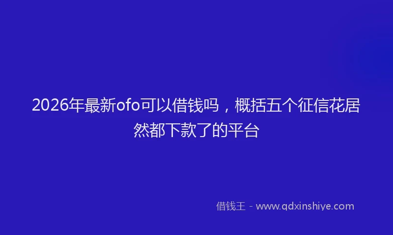 2026年最新ofo可以借钱吗，概括五个征信花居然都下款了的平台