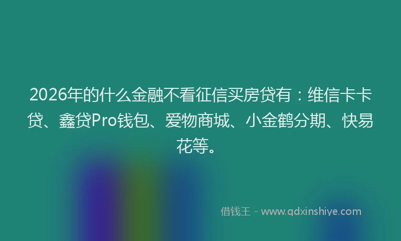 2026年的什么金融不看征信买房贷有：维信卡卡贷、鑫贷Pro钱包、爱物商城、小金鹤分期、快易花等。