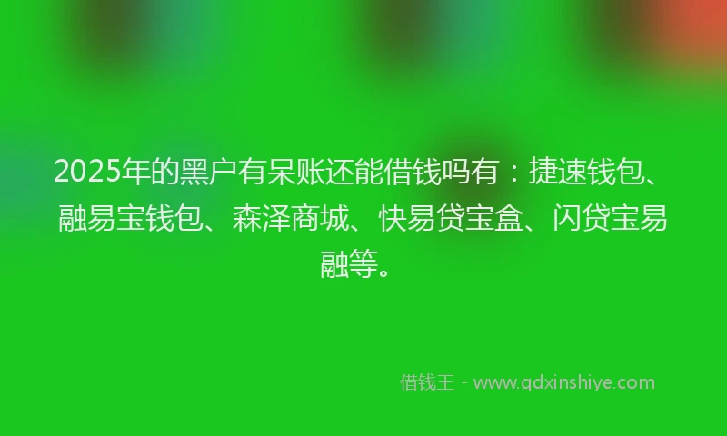 2025年的黑户有呆账还能借钱吗有:捷速钱包、融易宝钱包、森泽商城、快易贷宝盒、闪贷宝易融等。