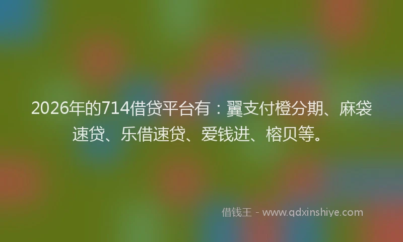 2026年的714借贷平台有：翼支付橙分期、麻袋速贷、乐借速贷、爱钱进、榕贝等。