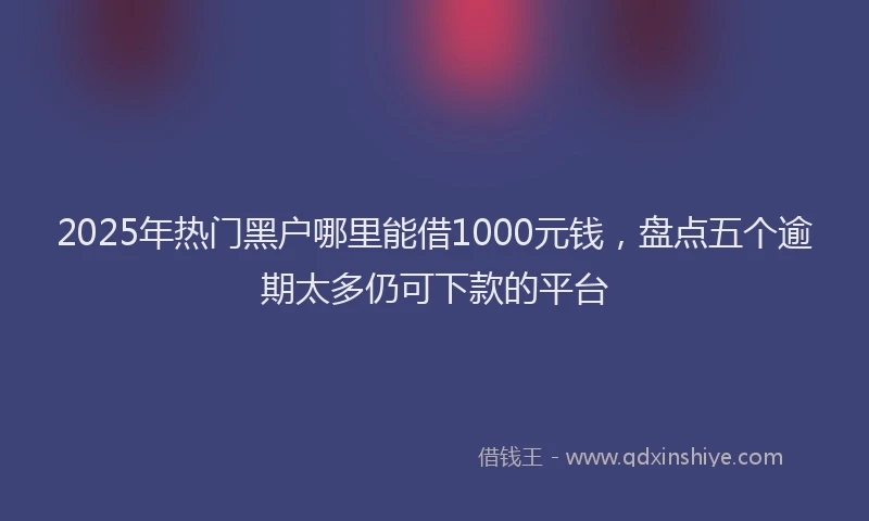 2025年热门黑户哪里能借1000元钱，盘点五个逾期太多仍可下款的平台