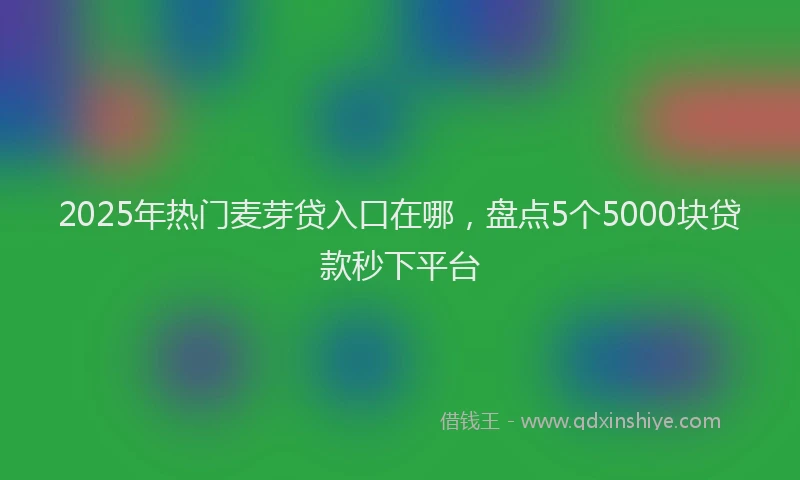 2025年热门麦芽贷入口在哪，盘点5个5000块贷款秒下平台