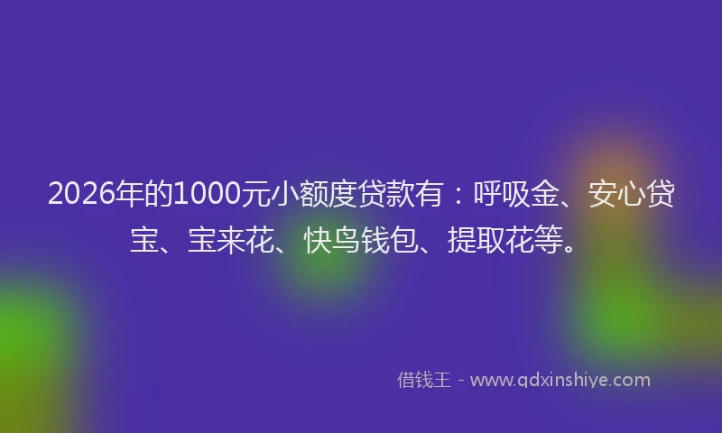 2026年的1000元小额度贷款有：呼吸金、安心贷宝、宝来花、快鸟钱包、提取花等。