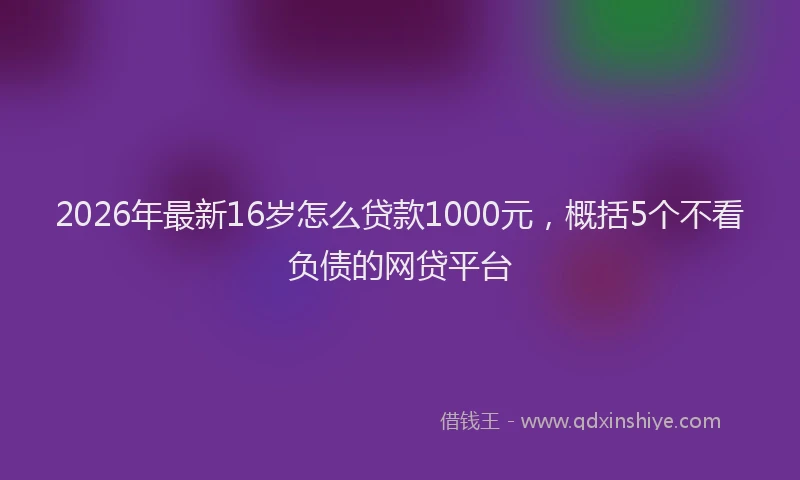 2026年最新16岁怎么贷款1000元，概括5个不看负债的网贷平台