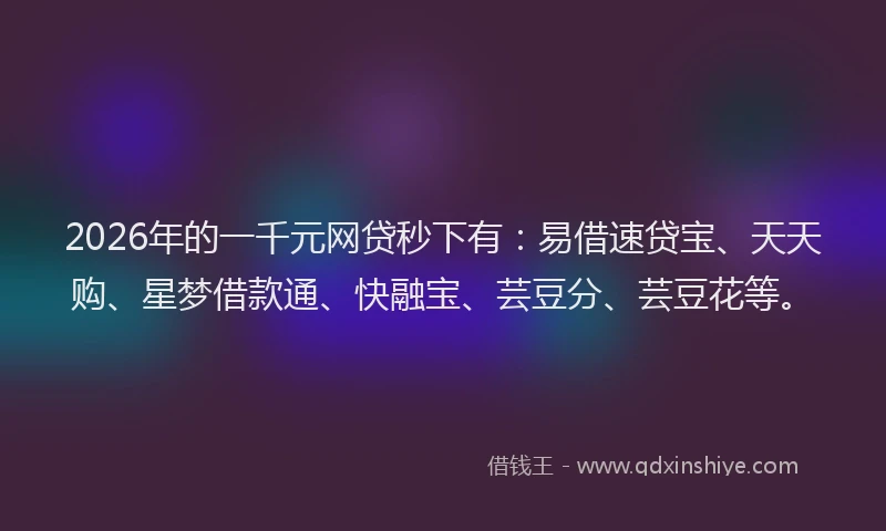 2026年的一千元网贷秒下有：易借速贷宝、天天购、星梦借款通、快融宝、芸豆分、芸豆花等。