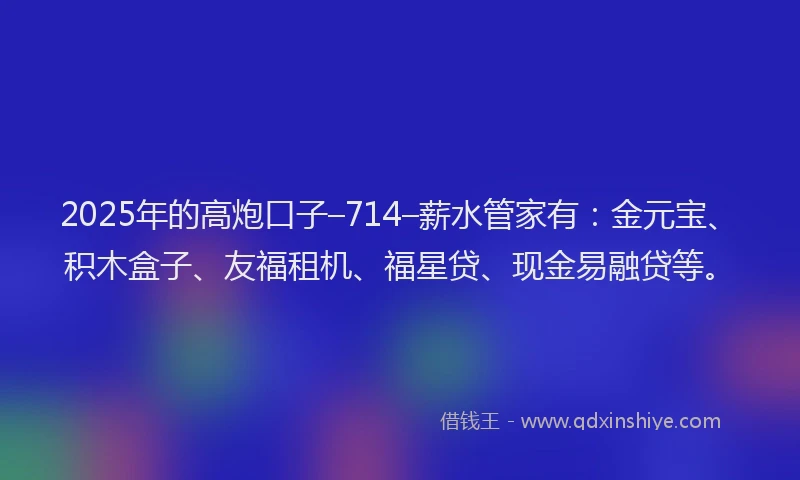 2025年的高炮口子–714–薪水管家有：金元宝、积木盒子、友福租机、福星贷、现金易融贷等。