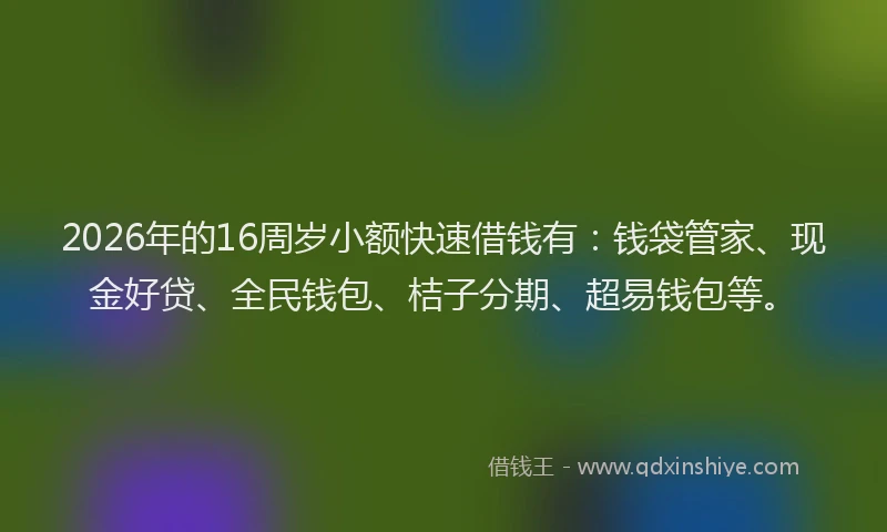 2026年的16周岁小额快速借钱有:钱袋管家、现金好贷、全民钱包、桔子分期、超易钱包等。