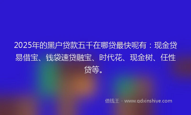 2025年的黑户贷款五千在哪贷最快呢有：现金贷易借宝、钱袋速贷融宝、时代花、现金树、任性贷等。
