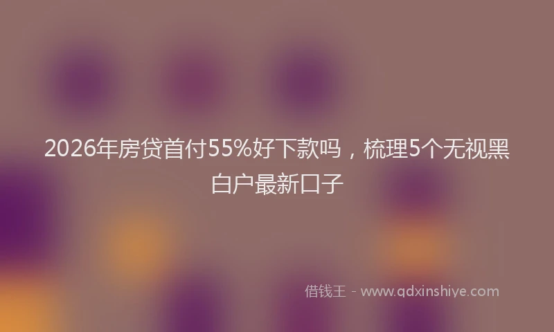 2026年房贷首付55%好下款吗，梳理5个无视黑白户最新口子