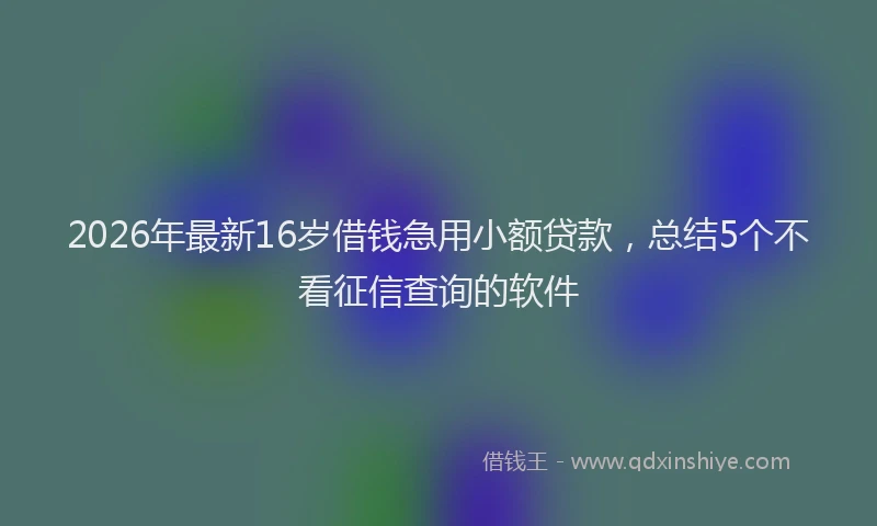 2026年最新16岁借钱急用小额贷款，总结5个不看征信查询的软件