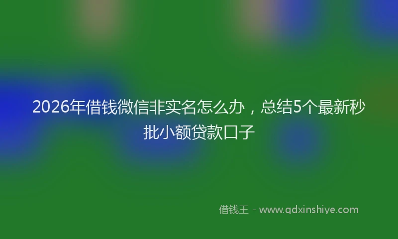 2026年借钱微信非实名怎么办，总结5个最新秒批小额贷款口子