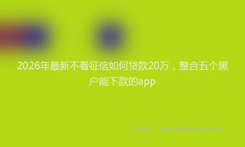 2026年最新不看征信如何贷款20万,整合五个黑户能下款的app