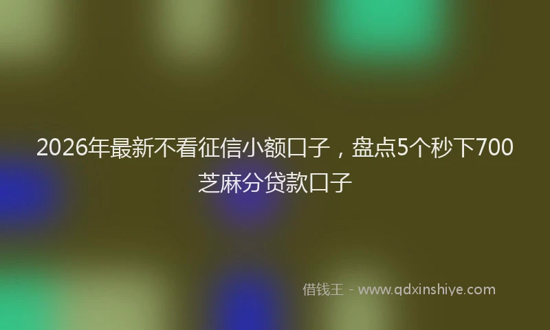 2026年最新不看征信小额口子，盘点5个秒下700芝麻分贷款口子