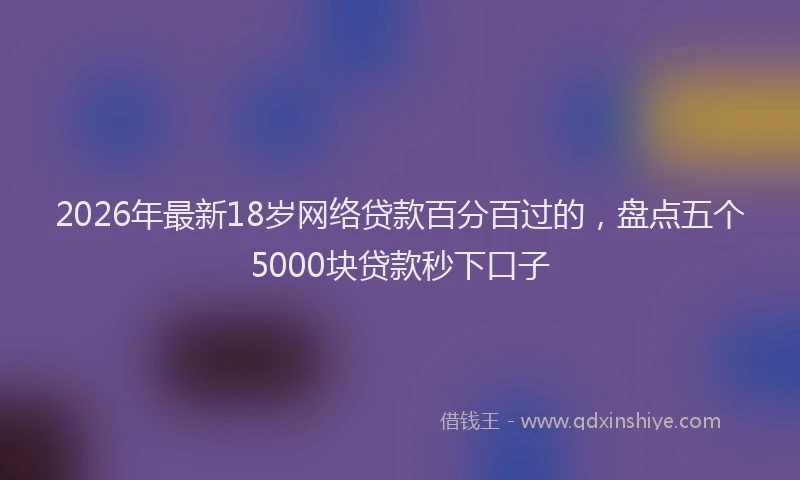 2026年最新18岁网络贷款百分百过的，盘点五个5000块贷款秒下口子