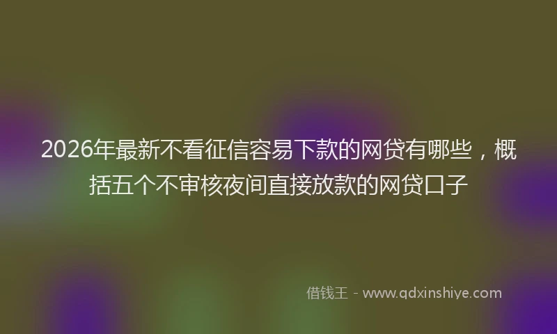 2026年最新不看征信容易下款的网贷有哪些,概括五个不审核夜间直接放款的网贷口子