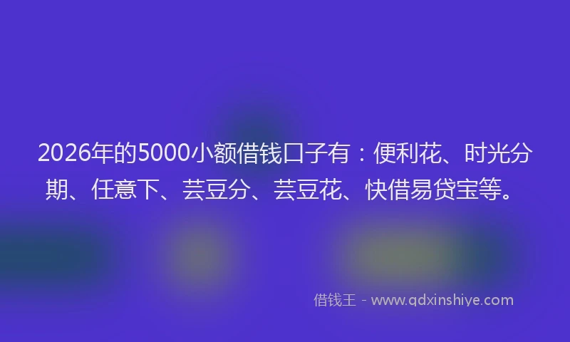 2026年的5000小额借钱口子有：便利花、时光分期、任意下、芸豆分、芸豆花、快借易贷宝等。