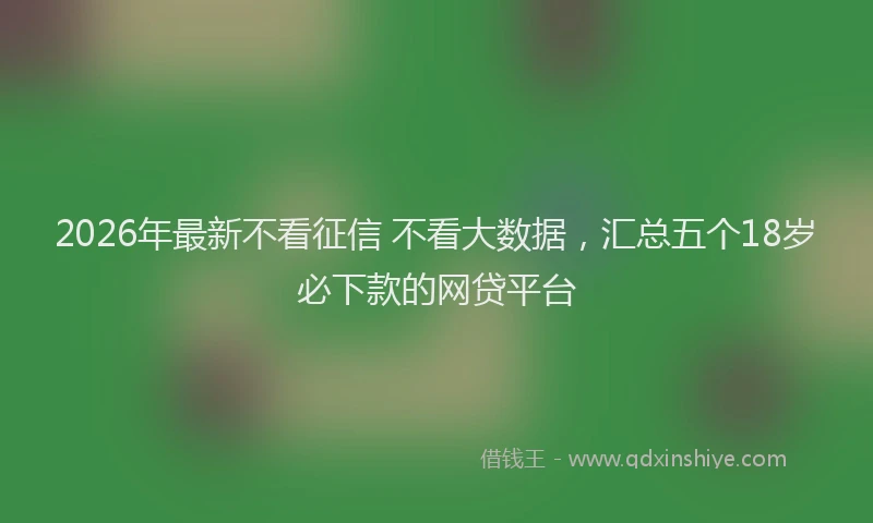 2026年最新不看征信 不看大数据,汇总五个18岁必下款的网贷平台