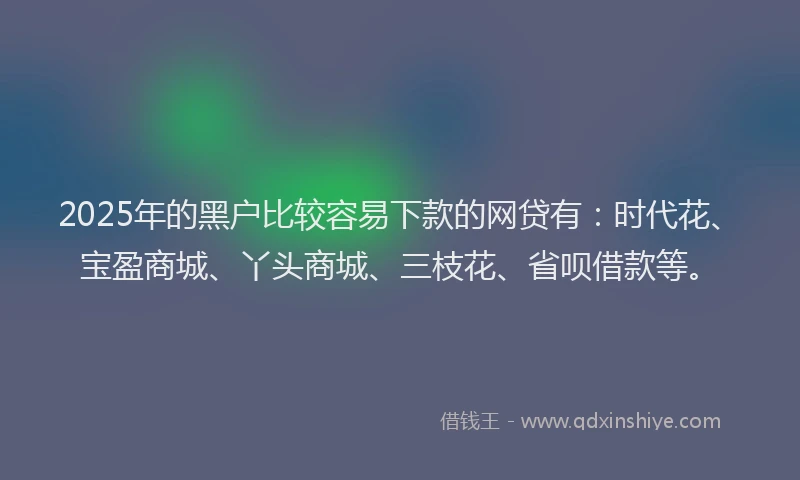 2025年的黑户比较容易下款的网贷有:时代花、宝盈商城、丫头商城、三枝花、省呗借款等。