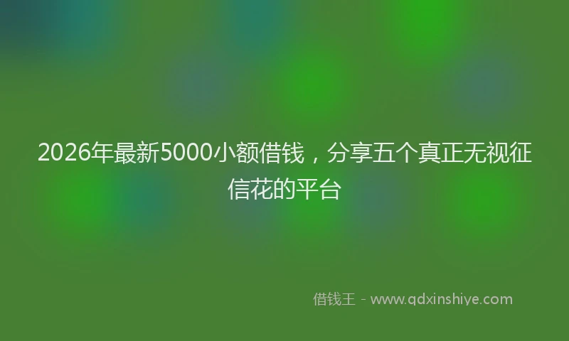 2026年最新5000小额借钱，分享五个真正无视征信花的平台