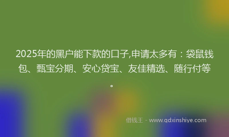 2025年的黑户能下款的口子,申请太多有：袋鼠钱包、甄宝分期、安心贷宝、友佳精选、随行付等。