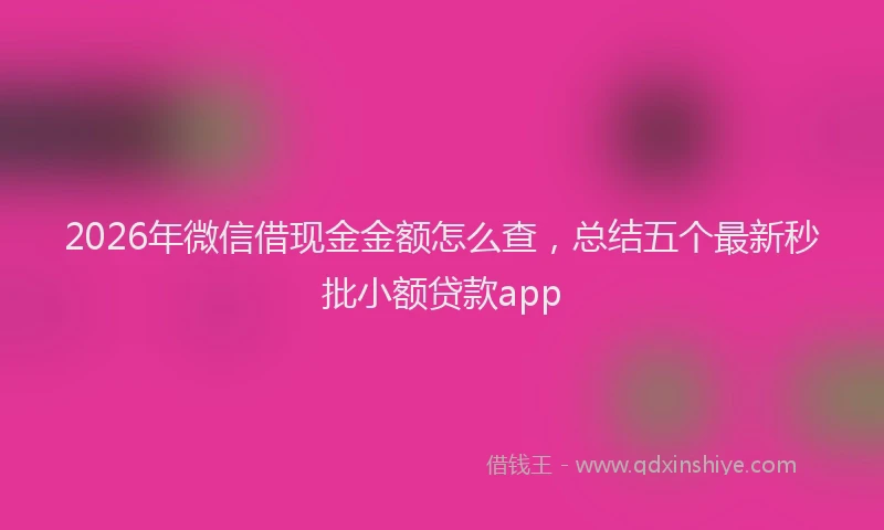 2026年微信借现金金额怎么查，总结五个最新秒批小额贷款app