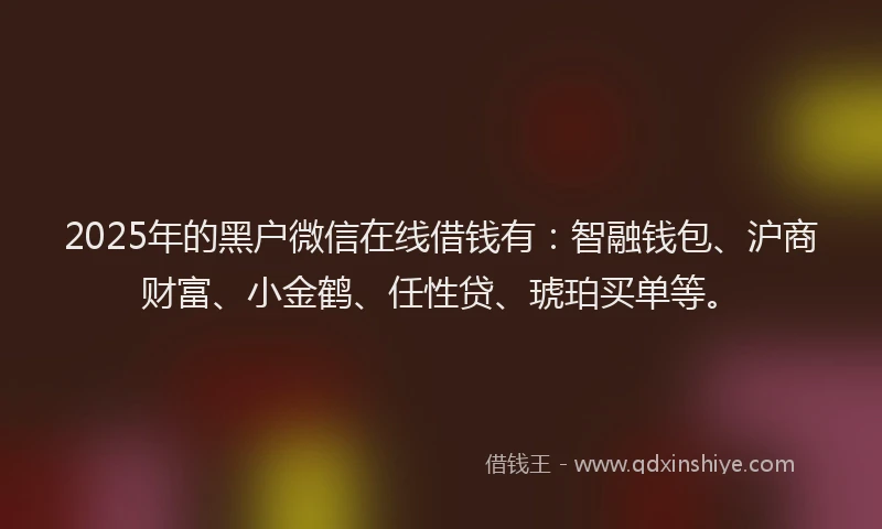 2025年的黑户微信在线借钱有：智融钱包、沪商财富、小金鹤、任性贷、琥珀买单等。