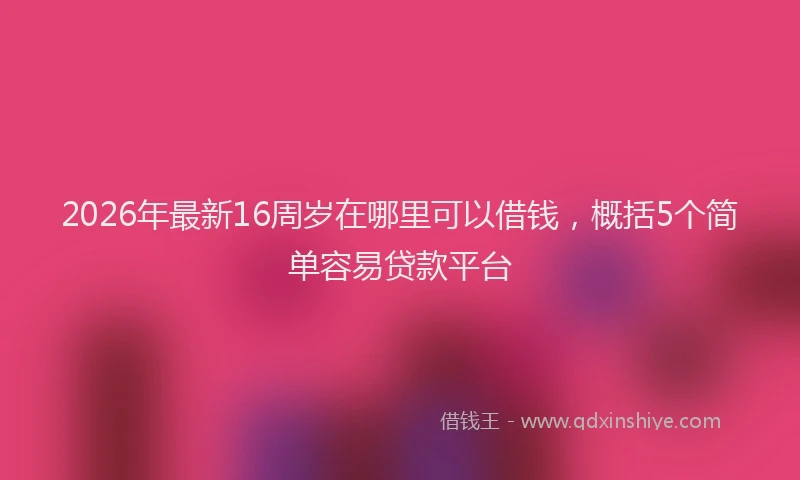 2026年最新16周岁在哪里可以借钱，概括5个简单容易贷款平台