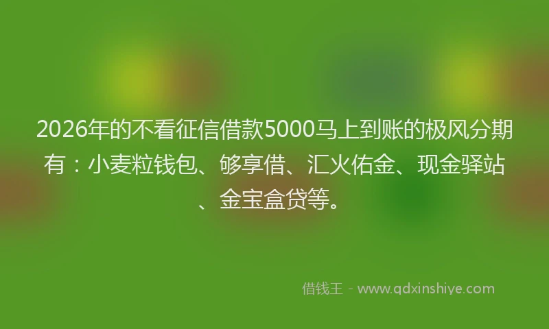 2026年的不看征信借款5000马上到账的极风分期有:小麦粒钱包、够享借、汇火佑金、现金驿站、金宝盒贷等。