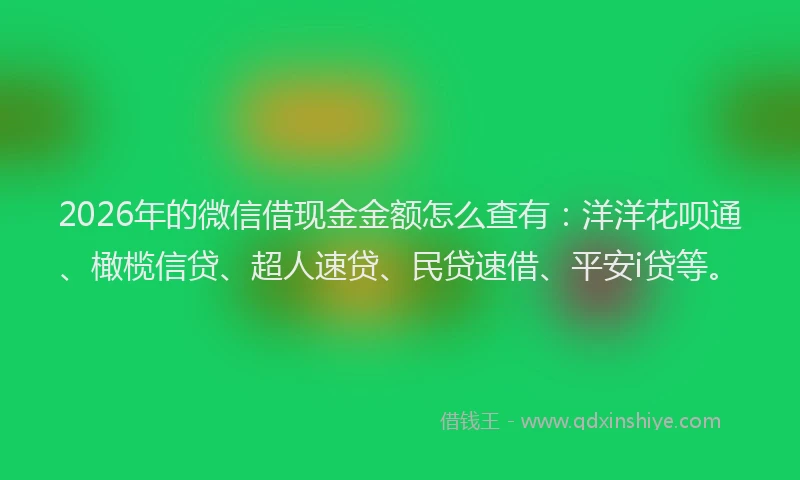 2026年的微信借现金金额怎么查有：洋洋花呗通、橄榄信贷、超人速贷、民贷速借、平安i贷等。