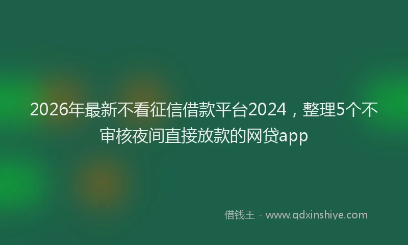 2026年最新不看征信借款平台2024，整理5个不审核夜间直接放款的网贷app