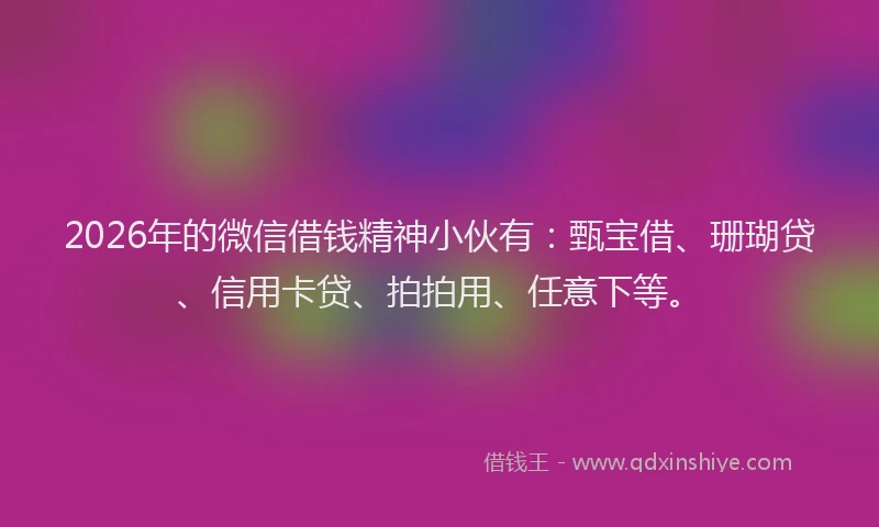 2026年的微信借钱精神小伙有：甄宝借、珊瑚贷、信用卡贷、拍拍用、任意下等。