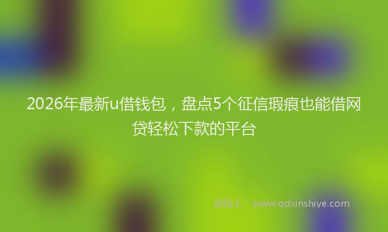 2026年最新u借钱包，盘点5个征信瑕疵也能借网贷轻松下款的平台