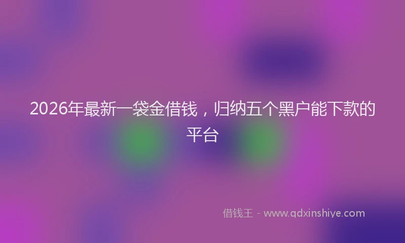 2026年最新一袋金借钱,归纳五个黑户能下款的平台