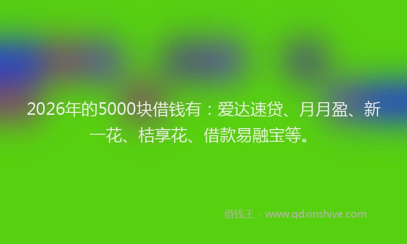 2026年的5000块借钱有：爱达速贷、月月盈、新一花、桔享花、借款易融宝等。