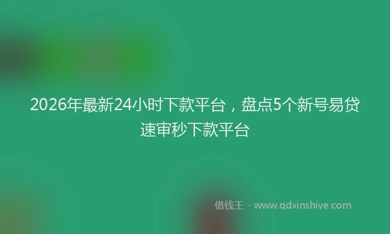 2026年最新24小时下款平台，盘点5个新号易贷速审秒下款平台