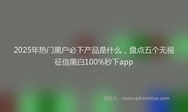 2025年热门黑户必下产品是什么，盘点五个无视征信黑白100%秒下app